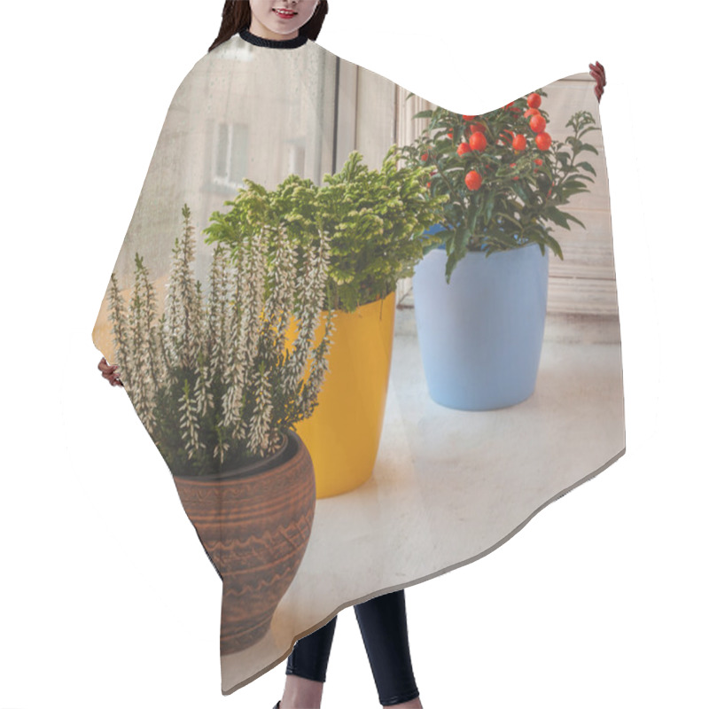 Personality  Household Ornamental Plants Hair Cutting Cape