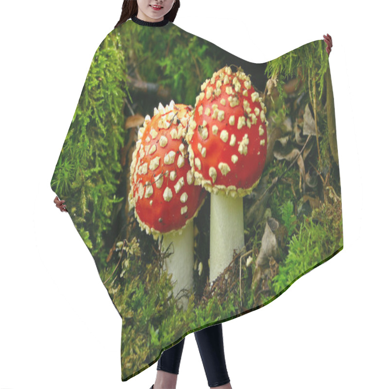 Personality  Fly Agaric - Horizontal Hair Cutting Cape