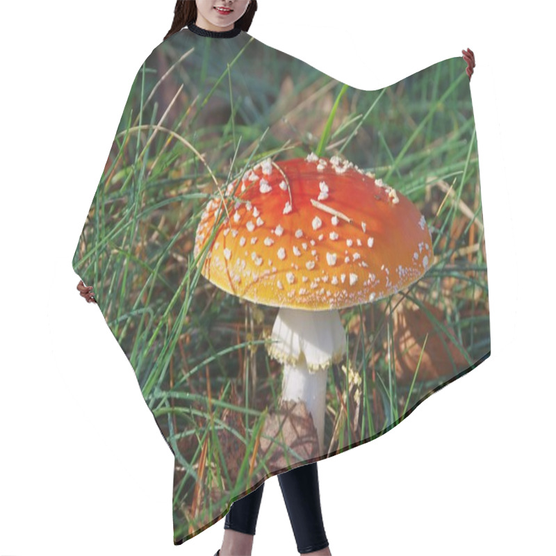 Personality  Fliegenpilz - Fly Agaric 11 Hair Cutting Cape