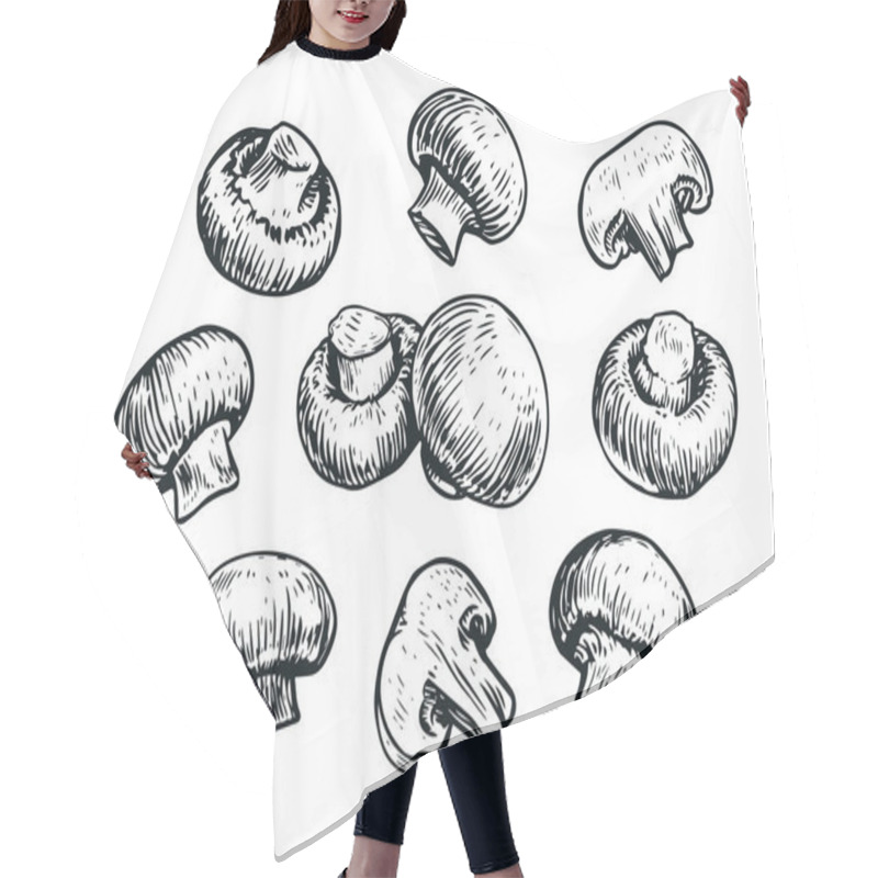 Personality  Mushrooms Set, Hand Drawn Sketch. Food Concept. Champignon Vector Illustration Hair Cutting Cape