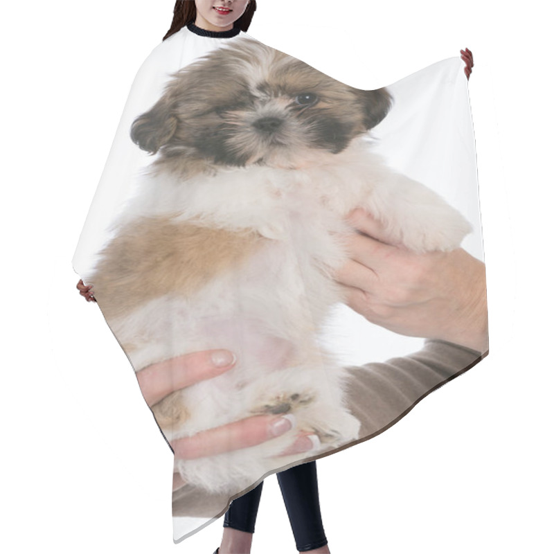 Personality  Puppy With Three Legs Hair Cutting Cape