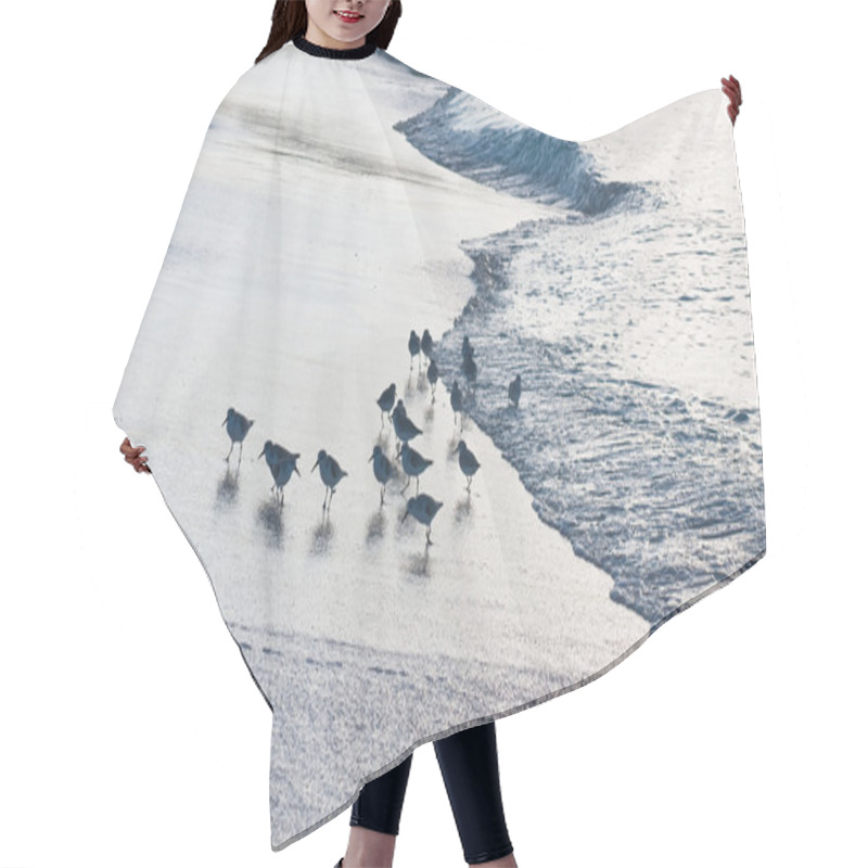 Personality  Calidris Minutilla Flock On The Beach Hair Cutting Cape