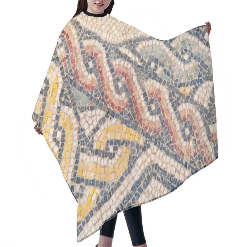 Personality  Old Roman Mosaics Hair Cutting Cape