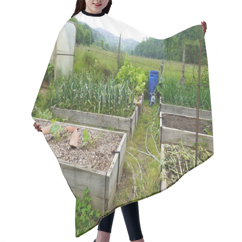 Personality  Organic Family Garden. Wooden Beds To Grow Vegetables In The Backyard Garden. Vegetable Garden Hair Cutting Cape