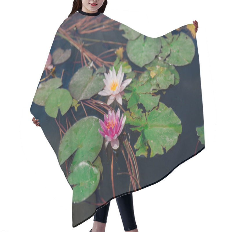 Personality  Lotus Or Water Lily In Pond Hair Cutting Cape