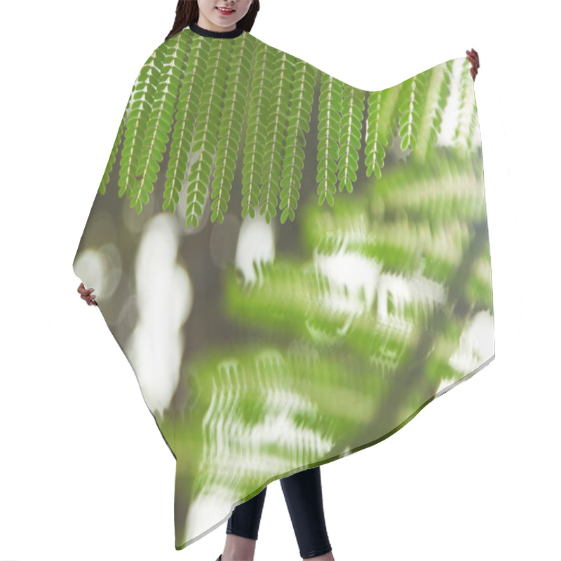 Personality  Close-up Shot Of Green Fern Leaves For Background Hair Cutting Cape