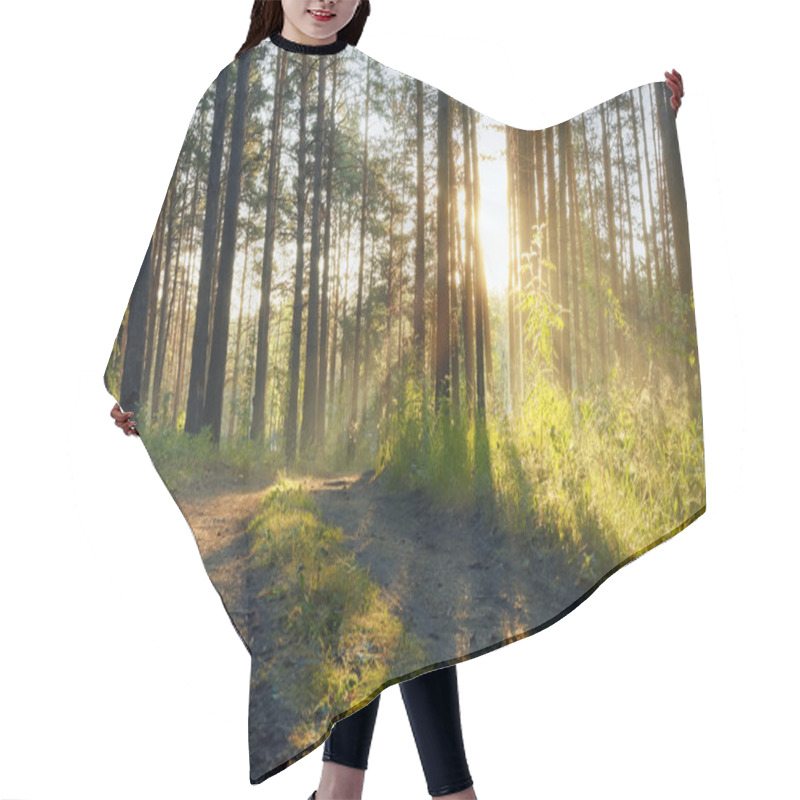 Personality  Sunset In The Forest Hair Cutting Cape