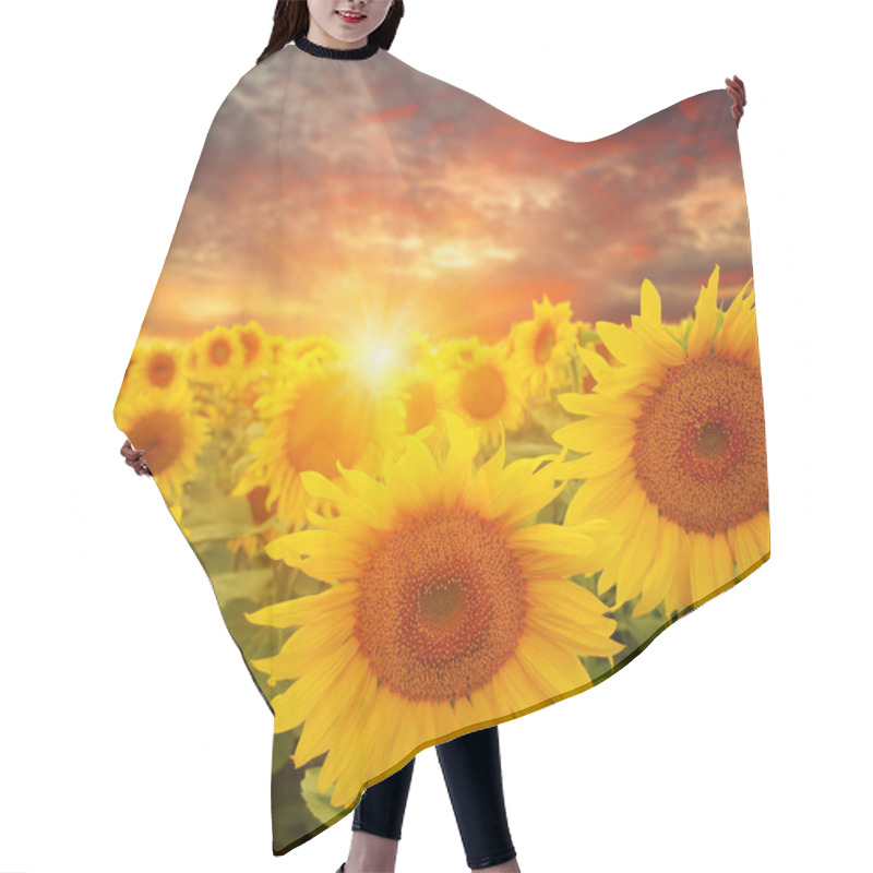 Personality  Field Of Sunflowers And Sun  Hair Cutting Cape