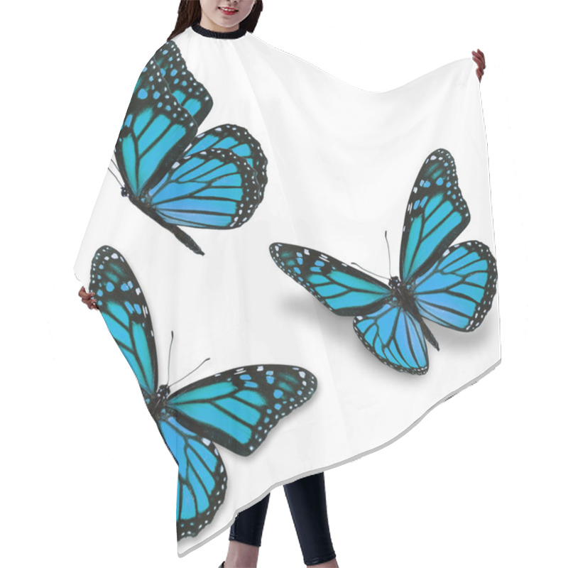 Personality  Blue Monarch Butterfly Hair Cutting Cape