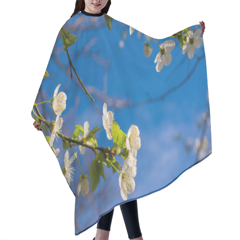 Personality  Spring Blossoms Hair Cutting Cape