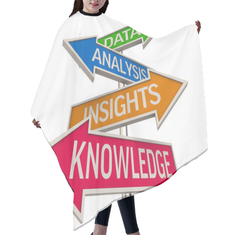 Personality  Data Information Insights Knowledge Arrow Signs Learn Direction 3d Illustration Hair Cutting Cape