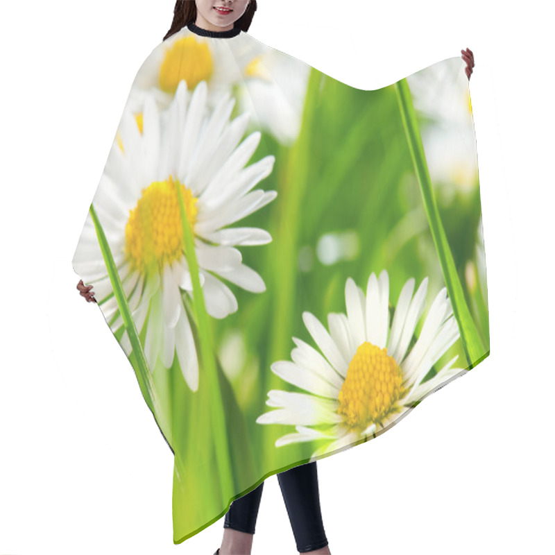 Personality  Daisies Hair Cutting Cape