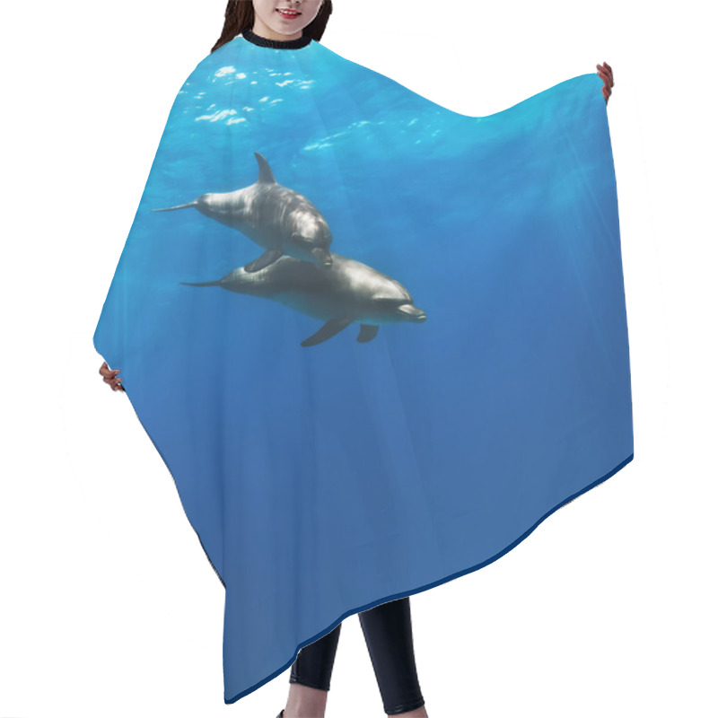 Personality  Two Funny Nice Dolphins Underwater Hair Cutting Cape