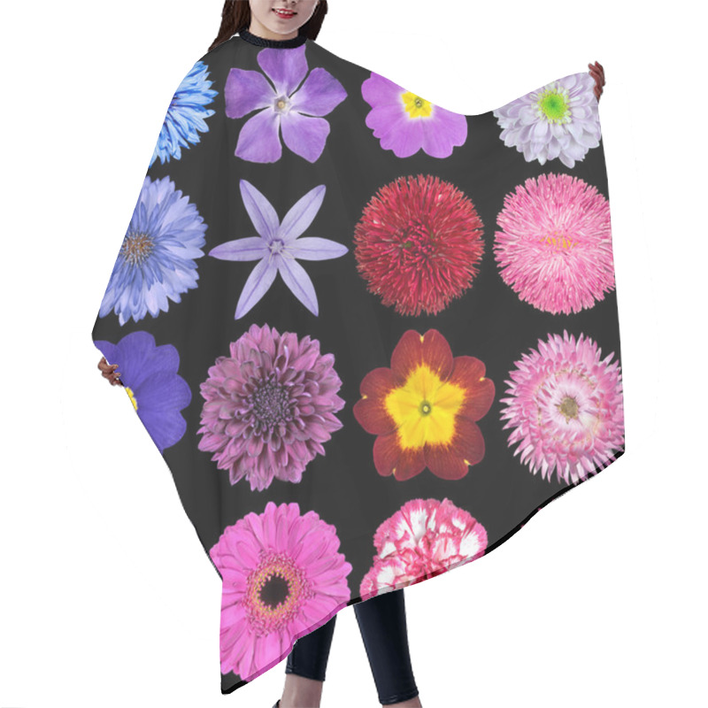 Personality  Various Red, Pink, Blue And Purple Flowers Isolated On Black Hair Cutting Cape