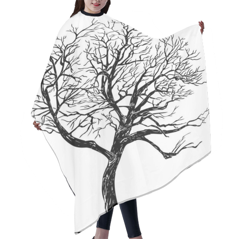 Personality  Freehand Drawing Of Silhouette Single Deciduous Bare Tree In Winter Season Hair Cutting Cape