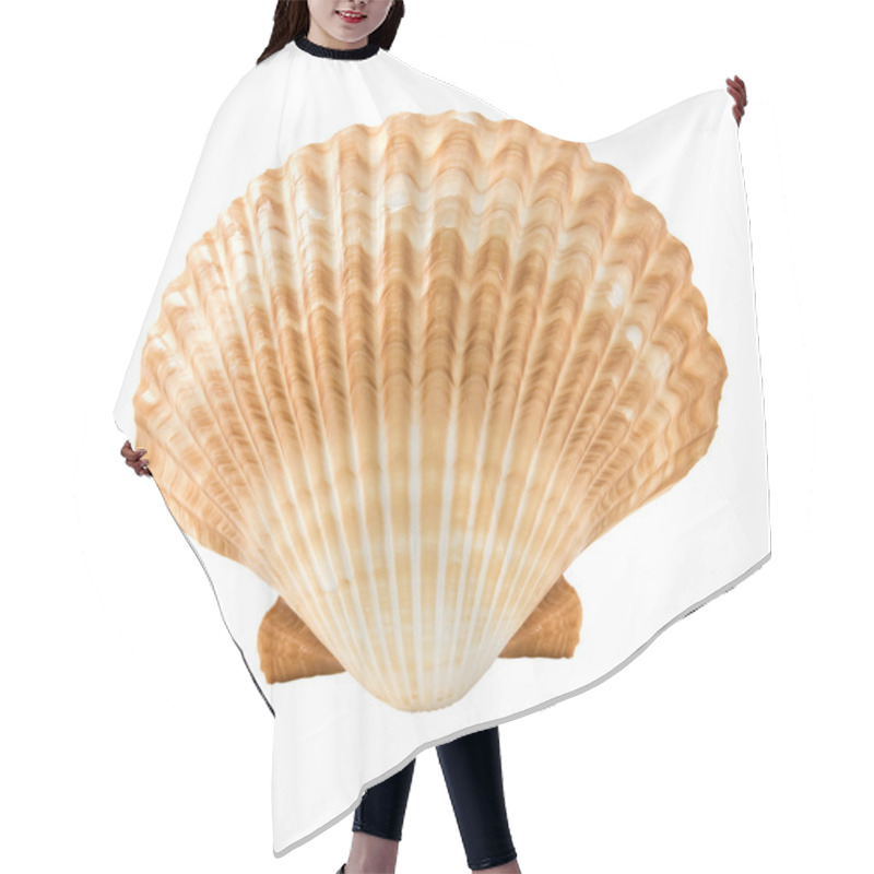 Personality  Seashell Hair Cutting Cape