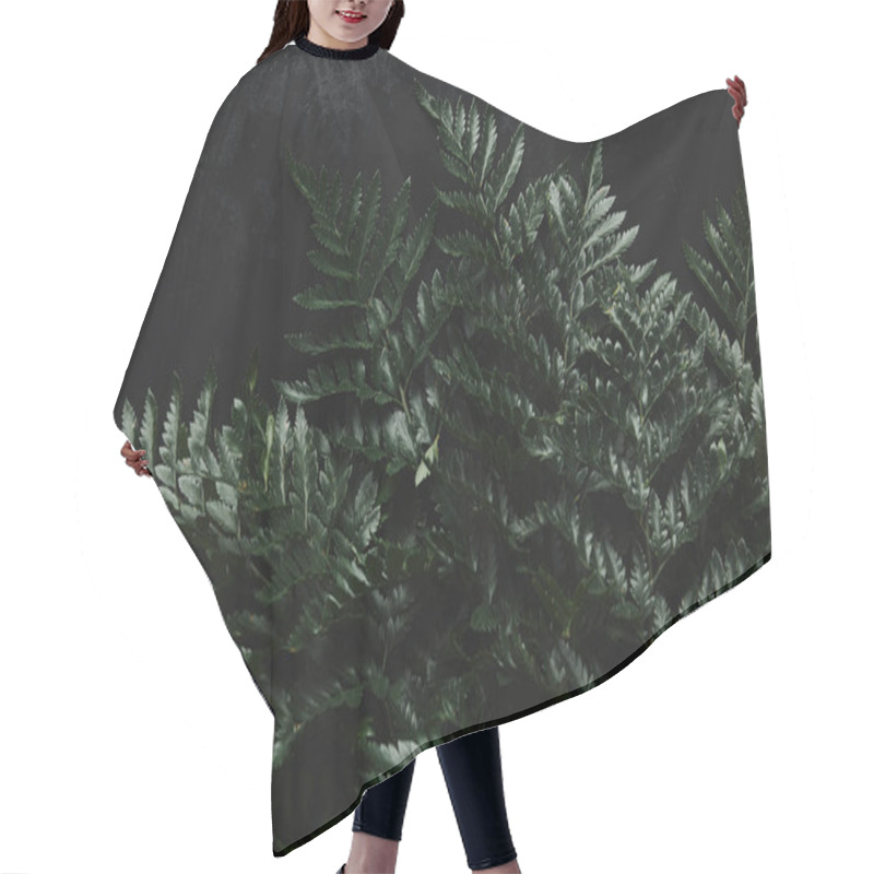 Personality  Top View Of Beautiful Green Wet Fern On Black  Hair Cutting Cape