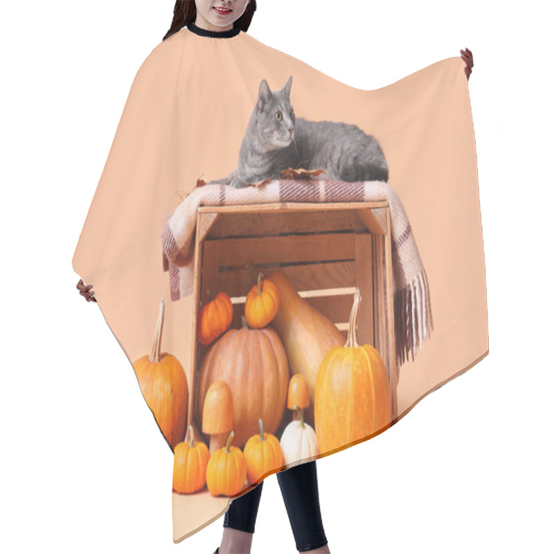 Personality  Cute Cat On Wooden Box With Pumpkins, Mushrooms And Leaves Against Beige Background. Thanksgiving Day Celebration Hair Cutting Cape