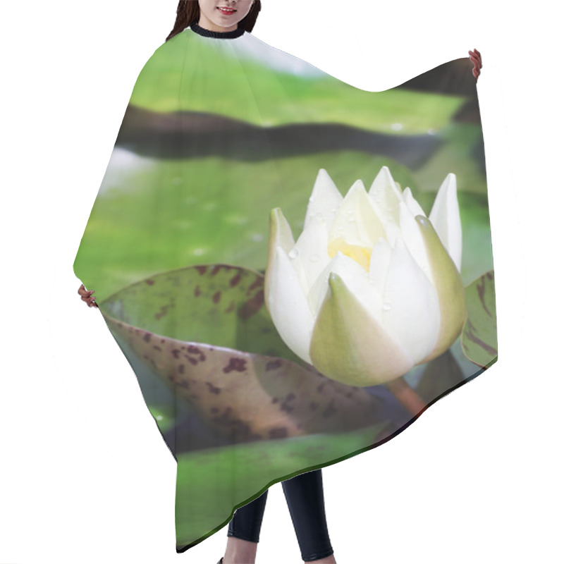 Personality  White Lotus Hair Cutting Cape