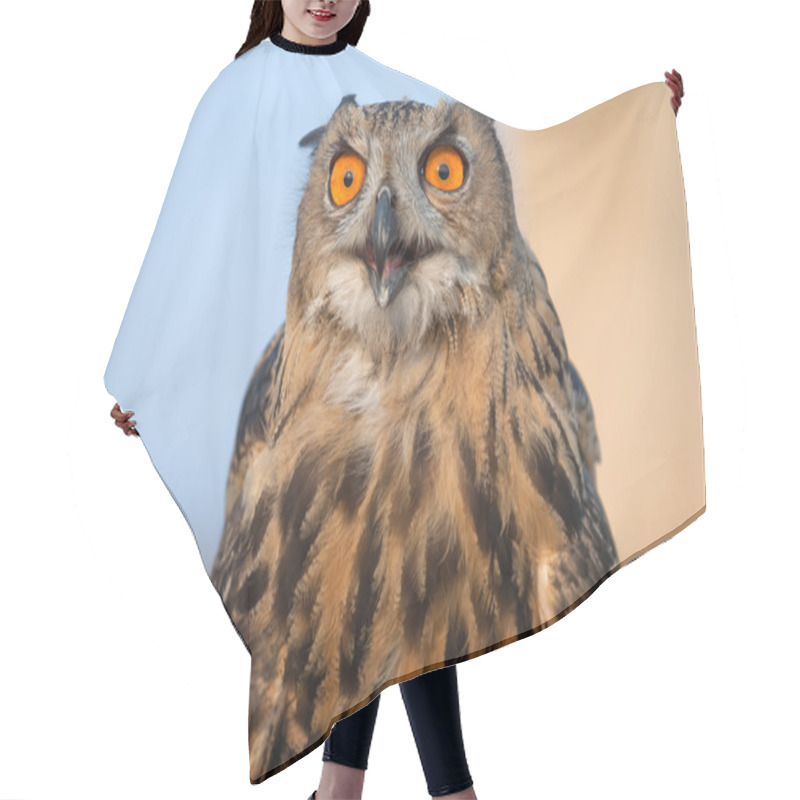 Personality  Eagle Owl Hair Cutting Cape