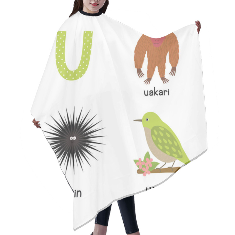 Personality  Cute Zoo Alphabet In Vector. U Letter. Funny Cartoon Animals: Urchin, Uakari, Uguisu Hair Cutting Cape