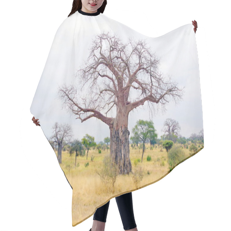 Personality  Boabab Tree In Wintertime Hair Cutting Cape