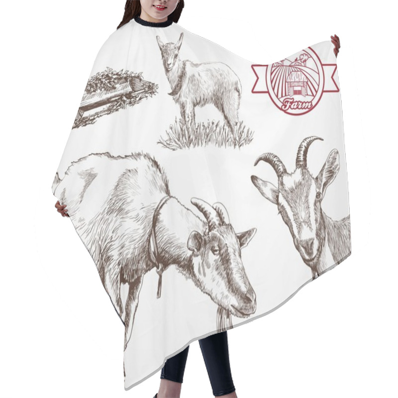 Personality  Goat Breeding Hair Cutting Cape