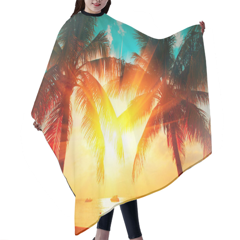 Personality  Sunset Beach With Tropical Palm Tree Over Beautiful Sky. Palms A Hair Cutting Cape