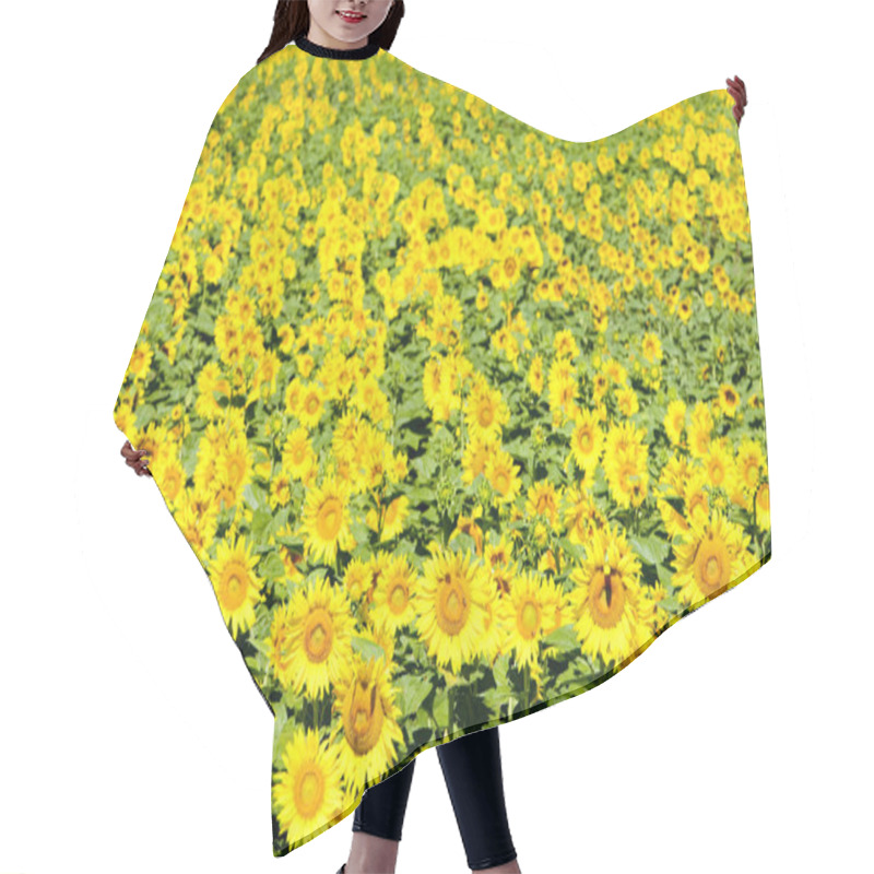 Personality  Sunflower Field Hair Cutting Cape