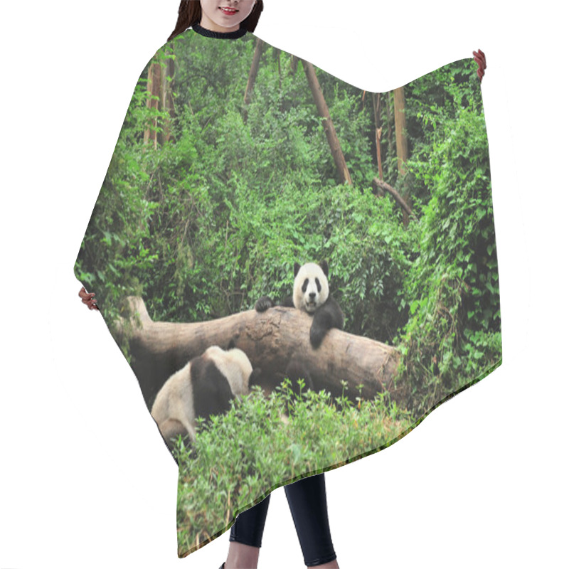 Personality  Panda In Playing Time Hair Cutting Cape