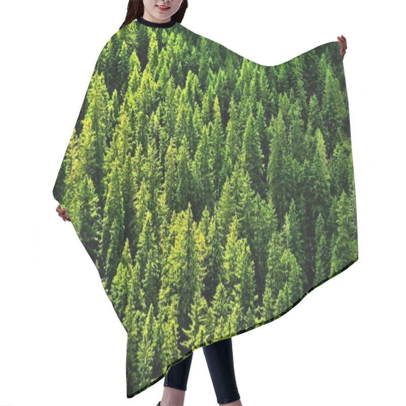 Personality  An Aerial Shot Of Evergreen Fir Trees Under A Sunlight Hair Cutting Cape