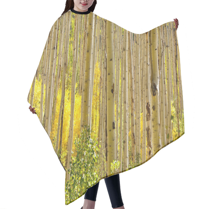 Personality  Golden Aspen Trees In Autumn Hair Cutting Cape