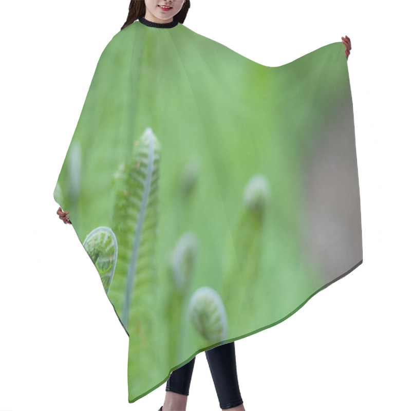 Personality  Young Green Fern  Hair Cutting Cape