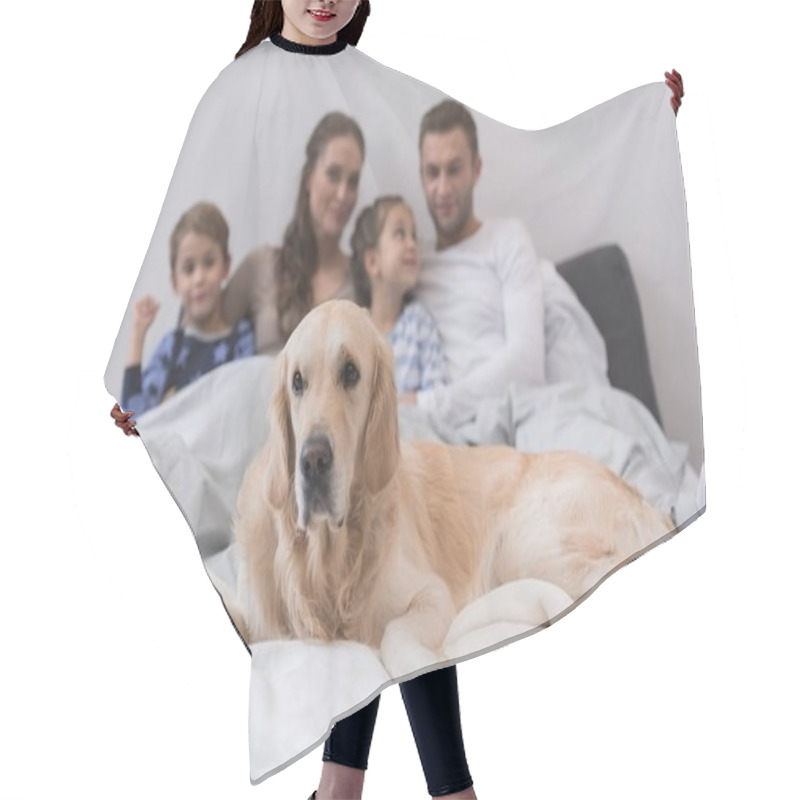 Personality  Dog With Family Hair Cutting Cape