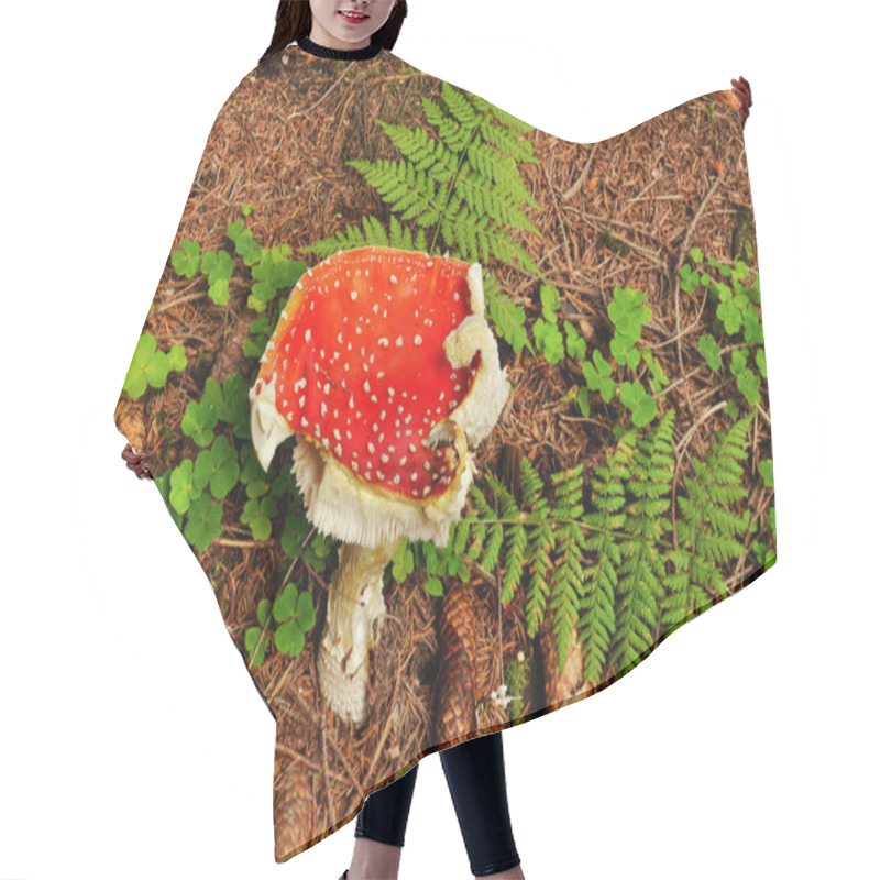 Personality  Amanita Muscaria Mushroom Hair Cutting Cape