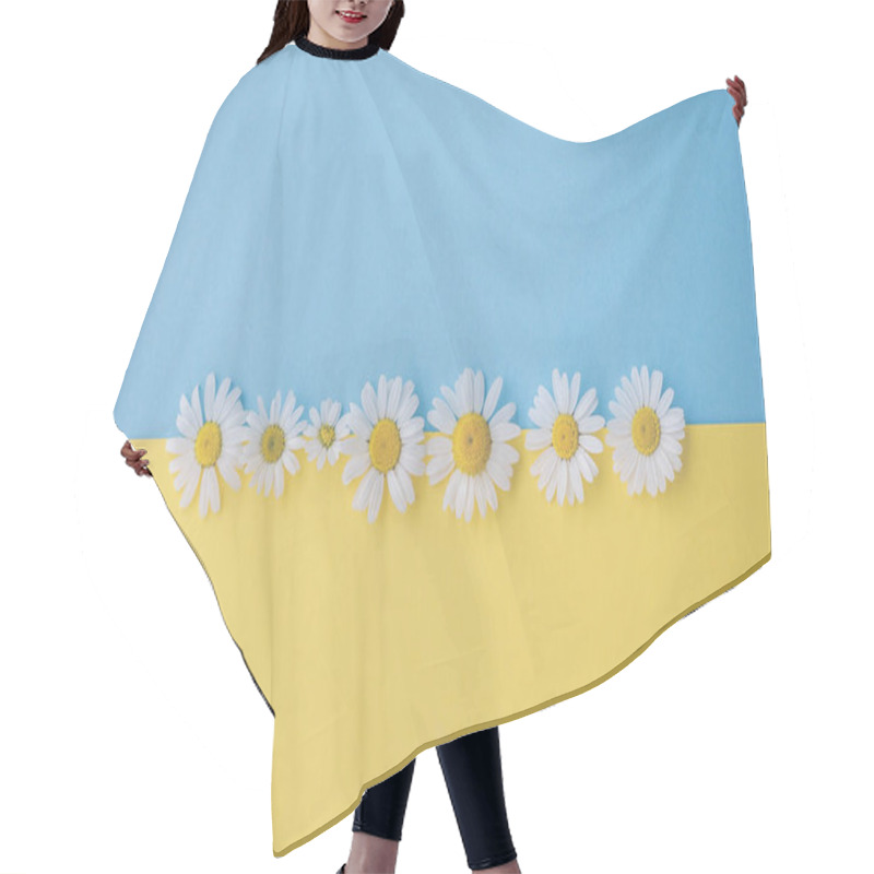 Personality  Daisies, Flowers, On Blue Wood - Background, With Text Space, Template, Design Hair Cutting Cape