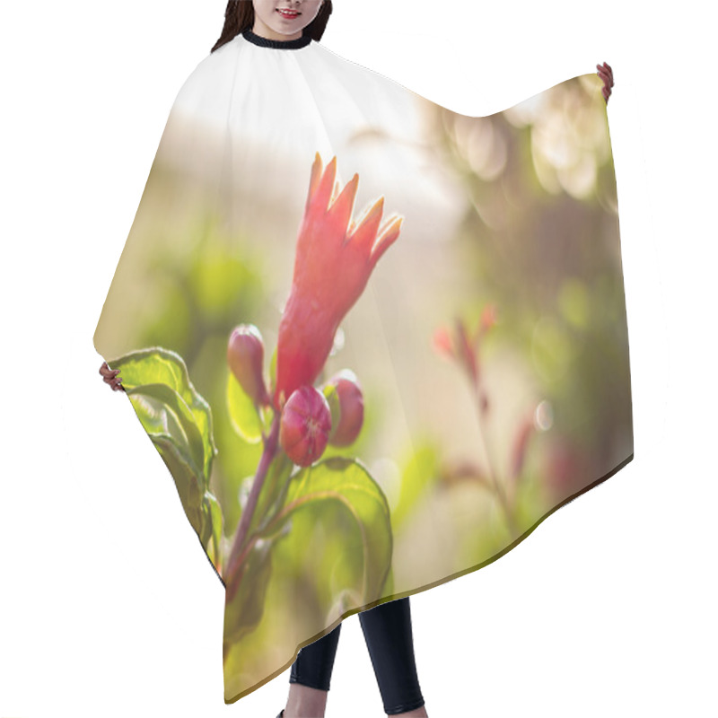 Personality  Flowers Of Pomegranate Tree Hair Cutting Cape