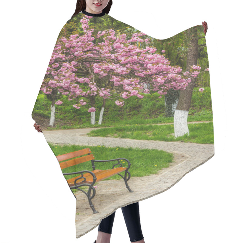 Personality  Blossomed Sakura Flowers Over The Bench Hair Cutting Cape