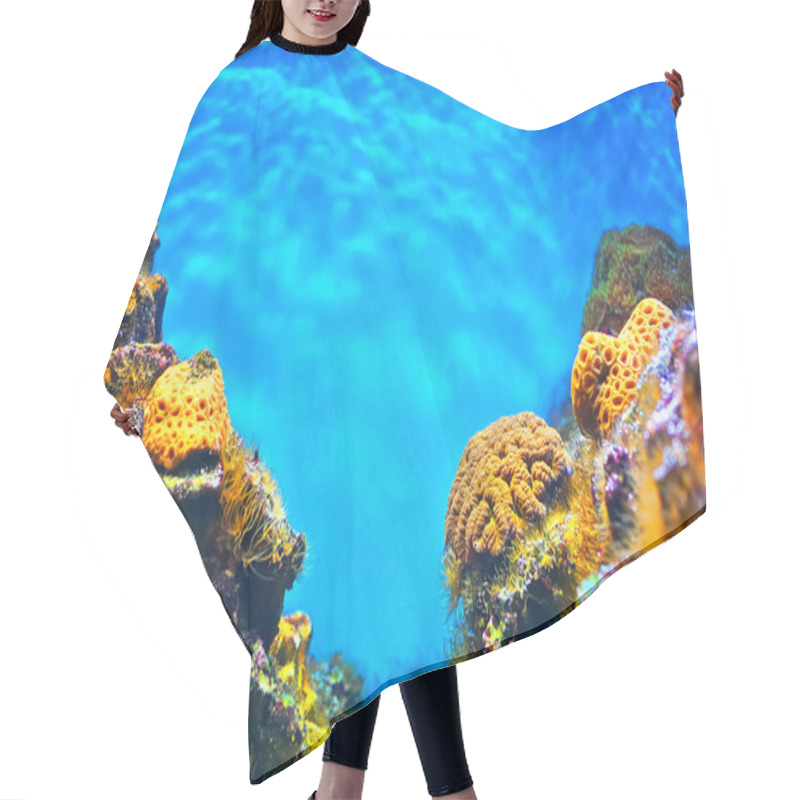 Personality  Shallow Underwater Without Fishes Hair Cutting Cape