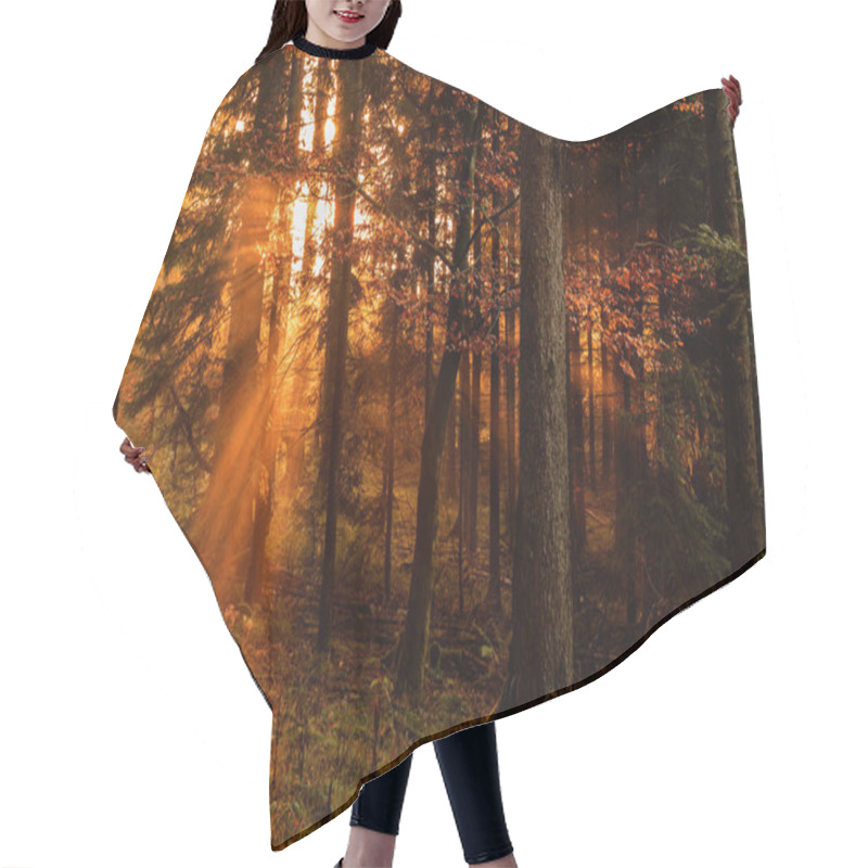 Personality  Black Forest Hair Cutting Cape