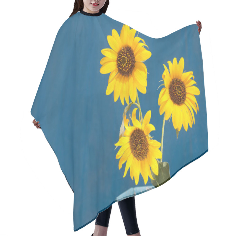 Personality  Sunflowers In A Light Blue Metal Pot Against Blue Barn Wall, With Copy Space Hair Cutting Cape