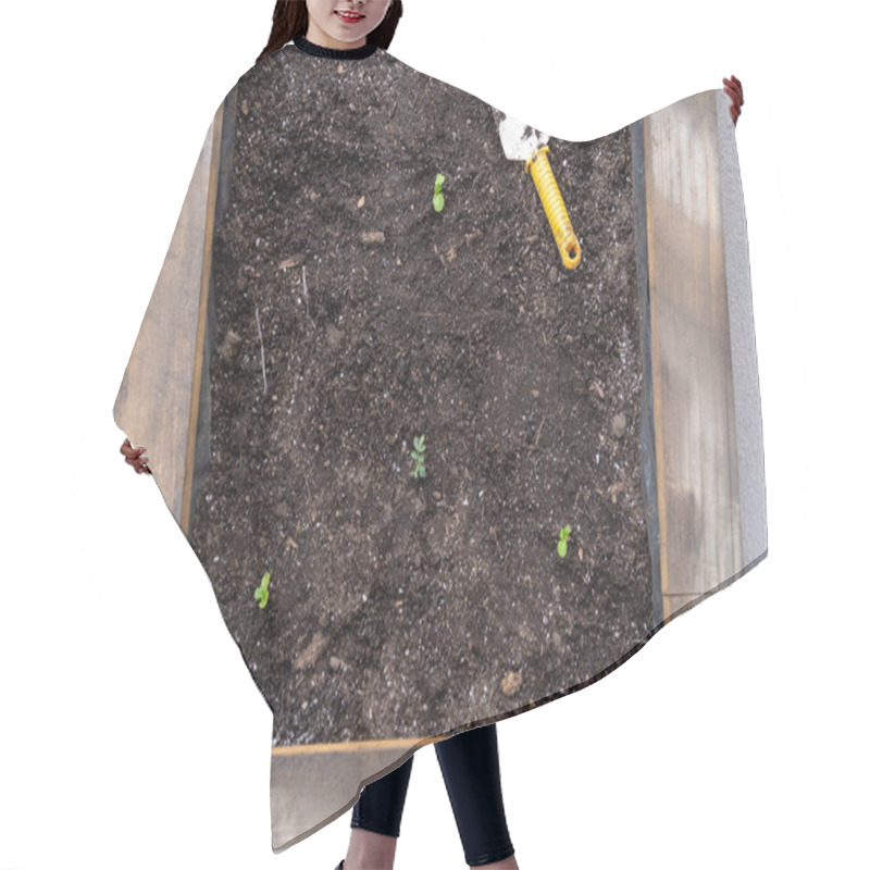 Personality  Grow Bed Whit Some Things On It And Plants Growing Hair Cutting Cape