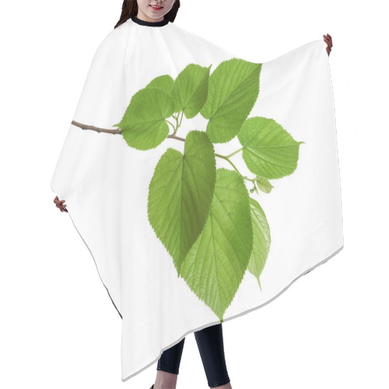 Personality  Branch With Green Leaves On White Background Hair Cutting Cape