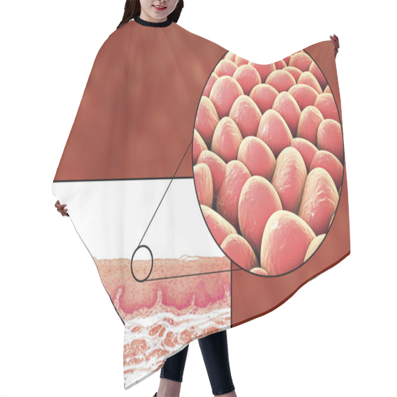 Personality  Human Cells, Micrograph And 3D Illustration Hair Cutting Cape