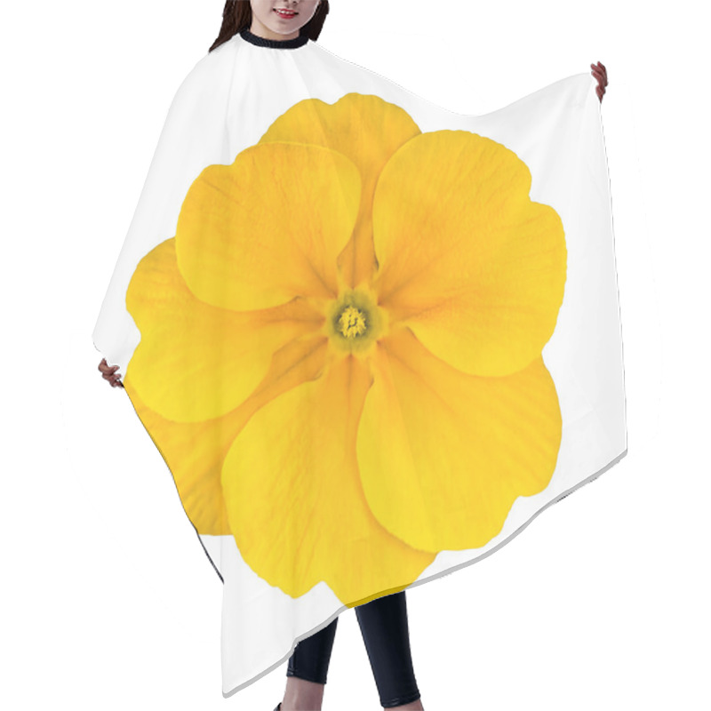 Personality  Fresh Yellow Primrose Flower Isolated Hair Cutting Cape