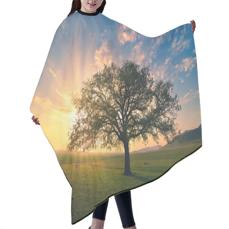 Personality  Magical Sunrise With Warm Sun Rays, Green Meadow And Big Tree Hair Cutting Cape