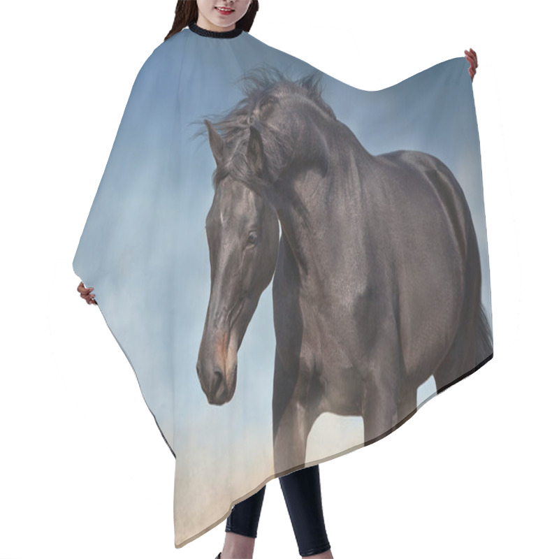 Personality  Bay Stallion Free Run Fast On Desert Dust Hair Cutting Cape