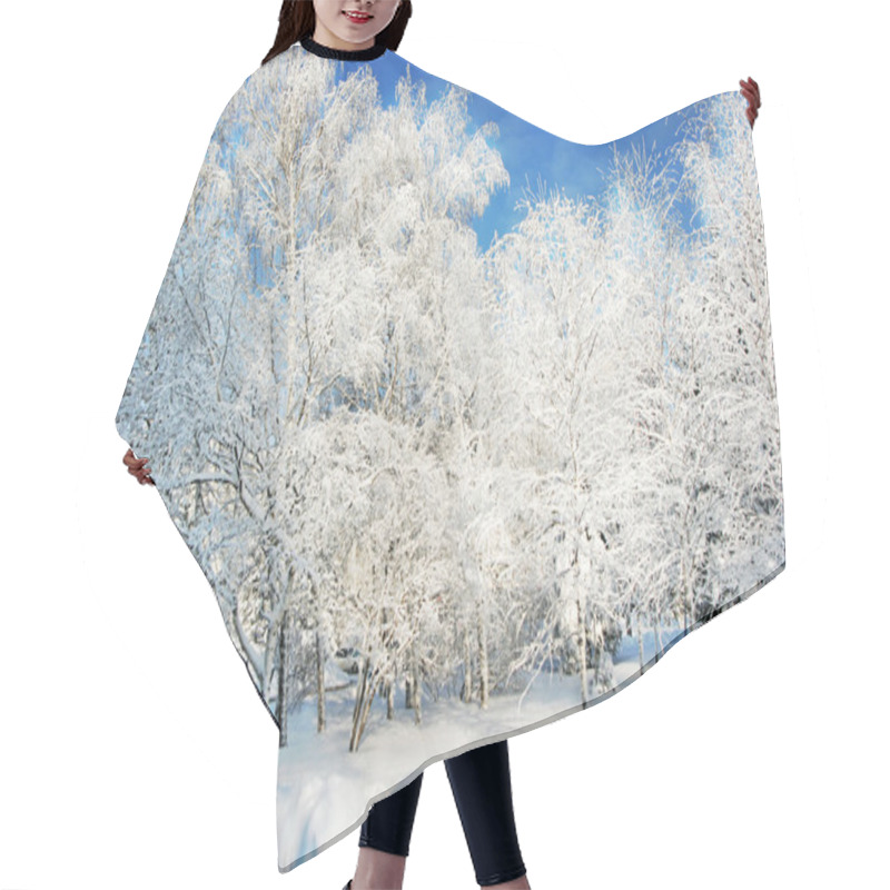 Personality  Magical Winter Woods Covered With Fresh Hair Cutting Cape