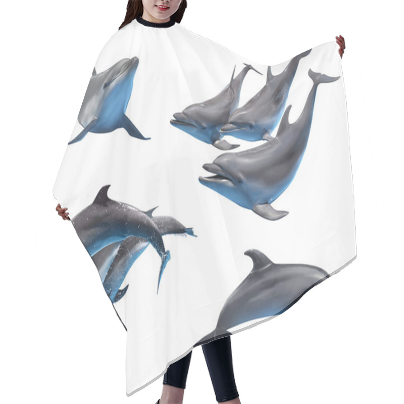 Personality  Beautiful Grey Bottlenose Dolphins On White Background, Collage Hair Cutting Cape