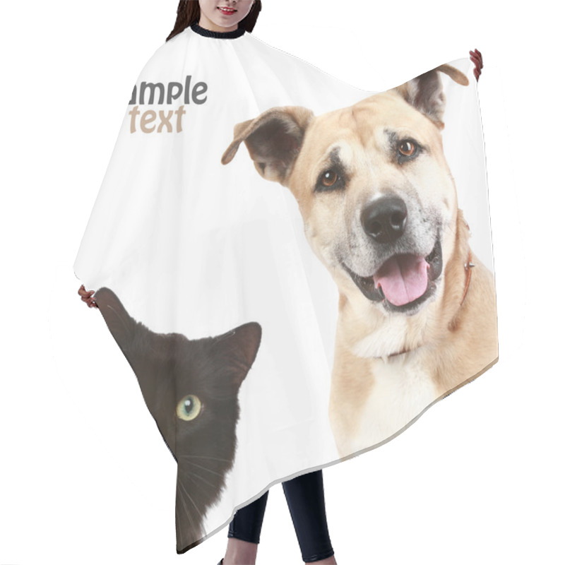 Personality  Close-up Portrait Of A Cat And Dog. Hair Cutting Cape